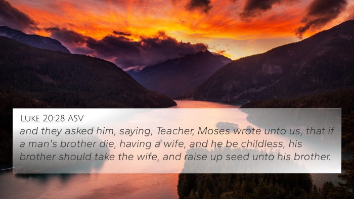 Luke 20:28 ASV Bible Verse Image