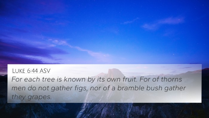 Luke 6:44 ASV Bible Verse Image