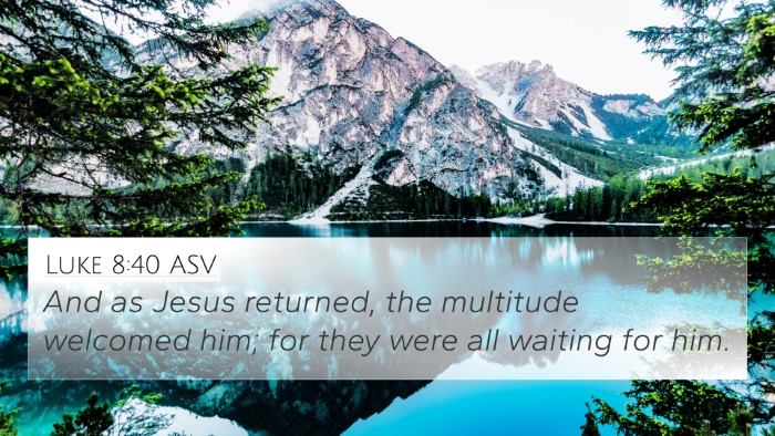 Luke 8:40 ASV Bible Verse Image