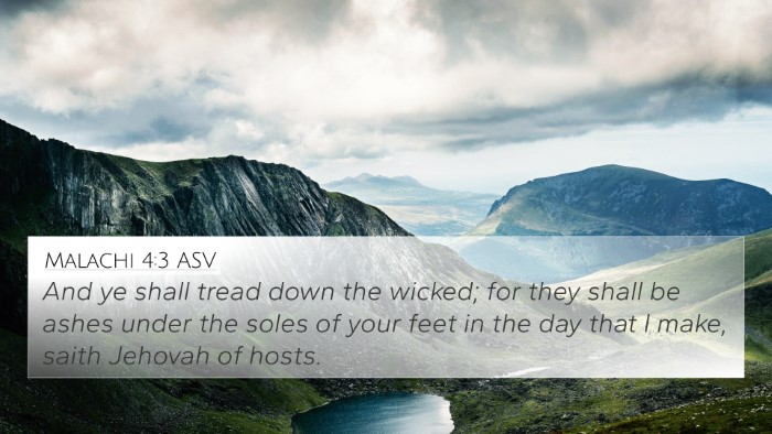Malachi 4:3 ASV Bible Verse Image
