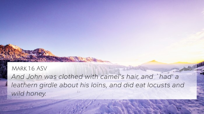 Mark 1:6 ASV Bible Verse Image