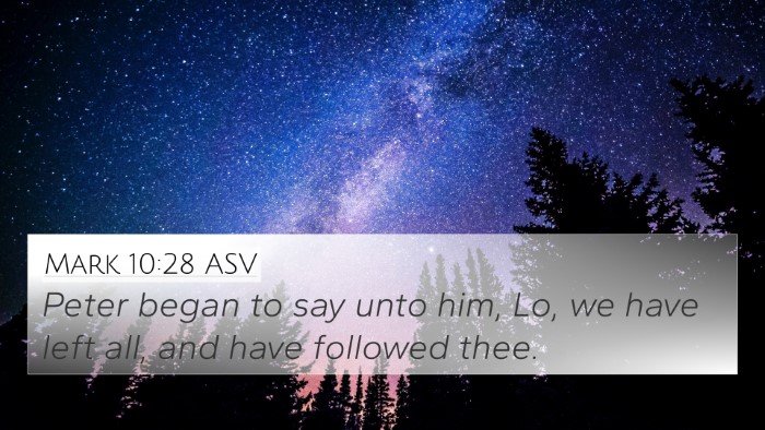 Mark 10:28 ASV Bible Verse Image