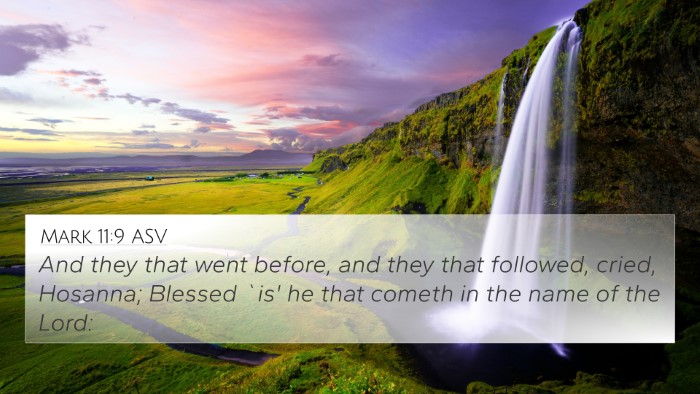 Mark 11:9 ASV Bible Verse Image