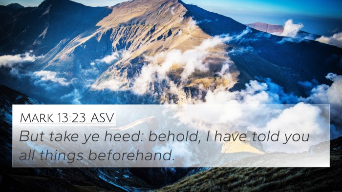 Mark 13:23 ASV Bible Verse Image