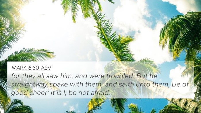 Mark 6:50 ASV Bible Verse Image