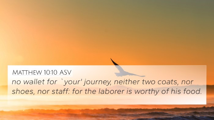 Matthew 10:10 ASV Bible Verse Image