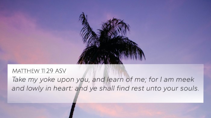 Matthew 11:29 ASV Bible Verse Image