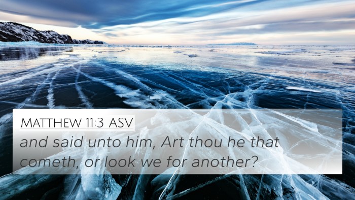 Matthew 11:3 ASV Bible Verse Image