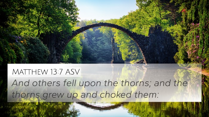 Matthew 13:7 ASV Bible Verse Image