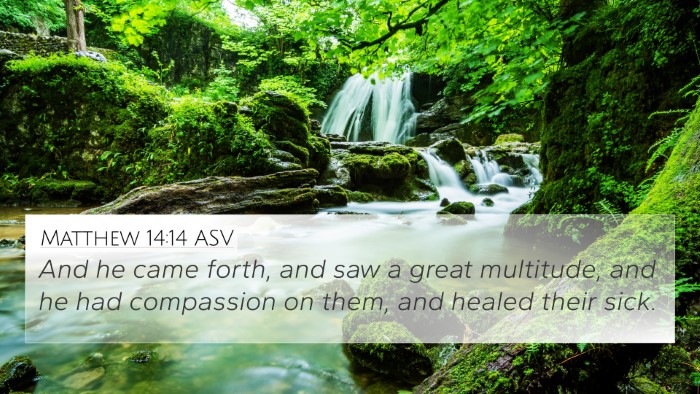 Matthew 14:14 ASV Bible Verse Image