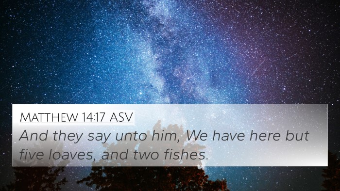 Matthew 14:17 ASV Bible Verse Image