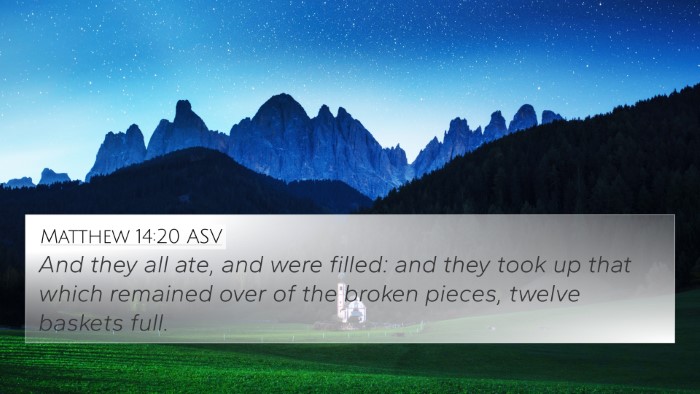 Matthew 14:20 ASV Bible Verse Image