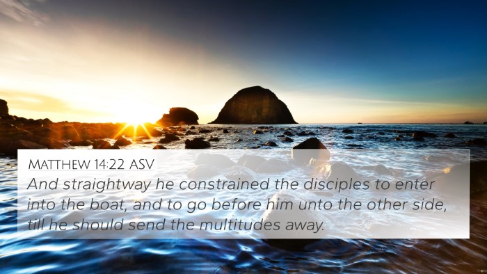 Matthew 14:22 ASV Bible Verse Image