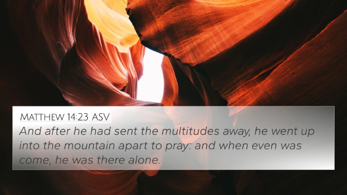 Matthew 14:23 ASV Bible Verse Image