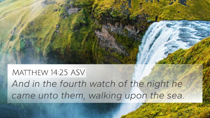 Matthew 14:25 ASV Bible Verse Image