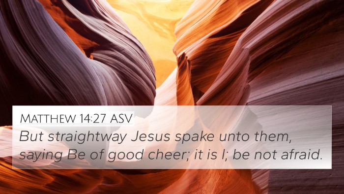 Matthew 14:27 ASV Bible Verse Image