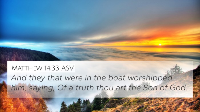 Matthew 14:33 ASV Bible Verse Image