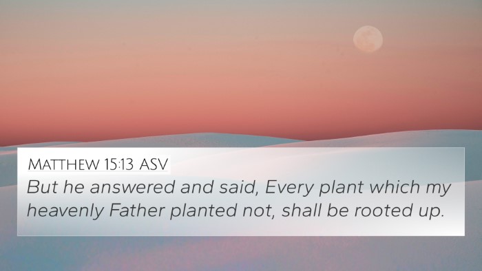 Matthew 15:13 ASV Bible Verse Image