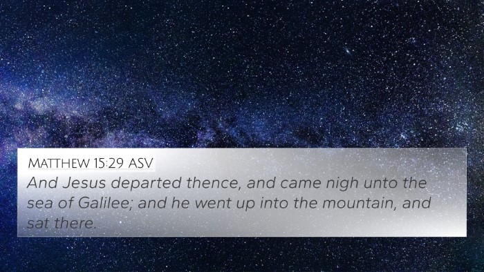 Matthew 15:29 ASV Bible Verse Image