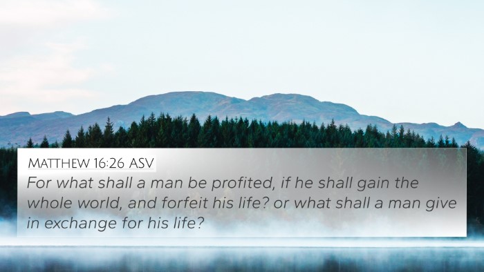 Matthew 16:26 ASV Bible Verse Image