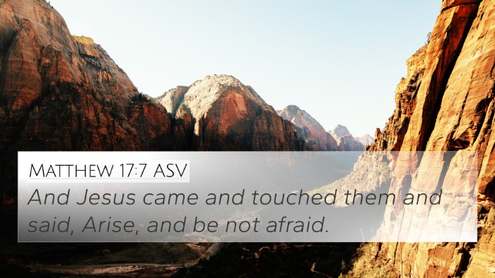 Matthew 17:7 ASV Bible Verse Image