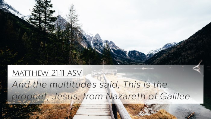 Matthew 21:11 ASV Bible Verse Image