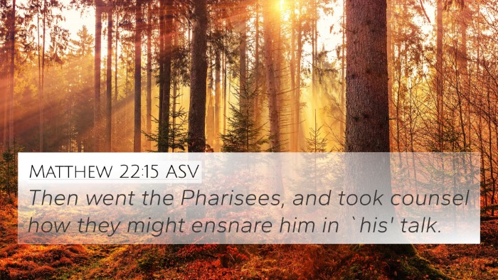 Matthew 22:15 ASV Bible Verse Image