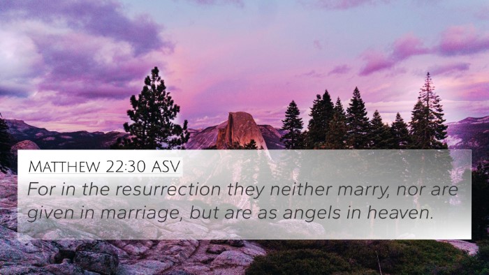 Matthew 22:30 ASV Bible Verse Image