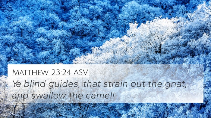 Matthew 23:24 ASV Bible Verse Image