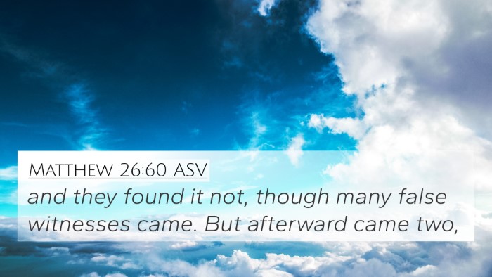 Matthew 26:60 ASV Bible Verse Image