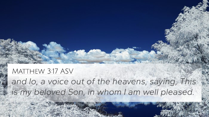 Matthew 3:17 ASV Bible Verse Image