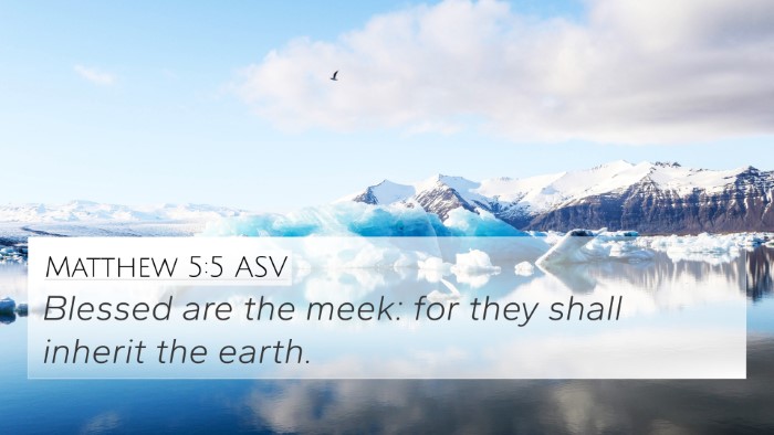 Matthew 5:5 ASV Bible Verse Image