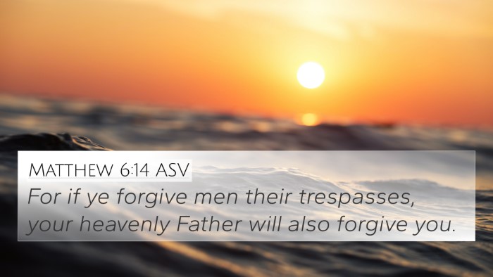 Matthew 6:14 ASV Bible Verse Image