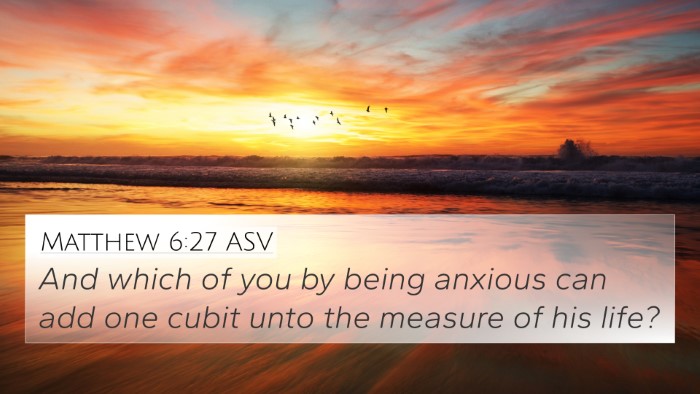 Matthew 6:27 ASV Bible Verse Image