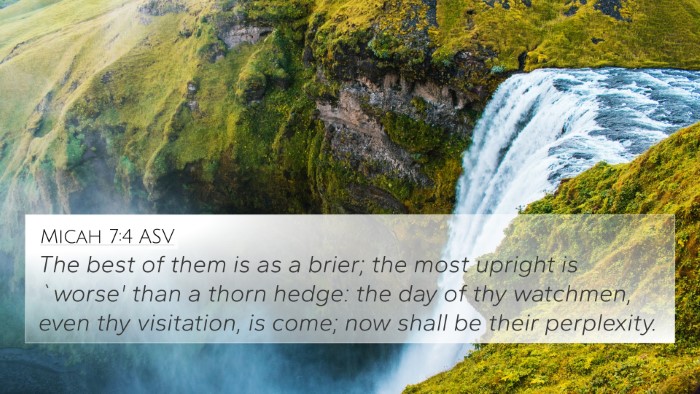 Micah 7:4 ASV Bible Verse Image