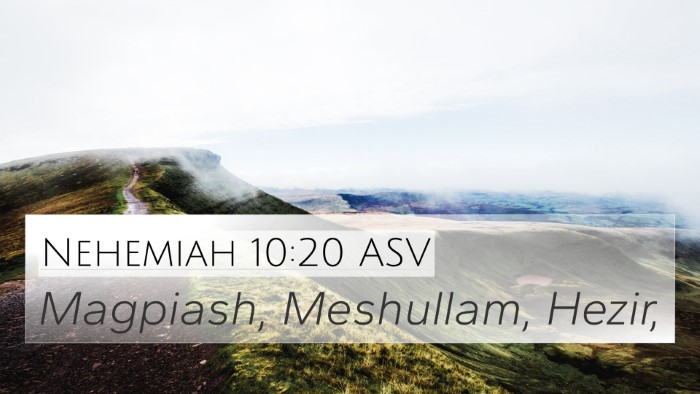 Nehemiah 10:20 ASV 4K Wallpaper - Magpiash, Meshullam, - 4K Wallpaper Bible Verse