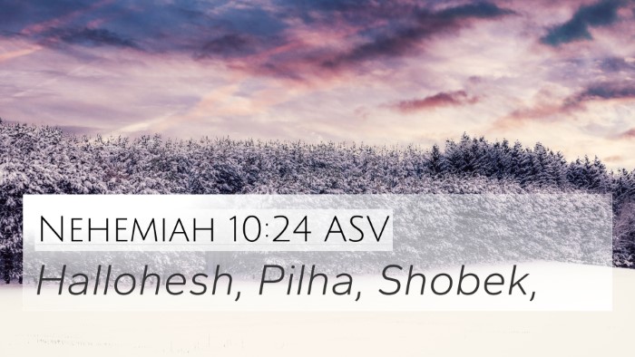 Nehemiah 10:24 ASV 4K Wallpaper - Hallohesh, Pilha, - 4K Wallpaper Bible Verse