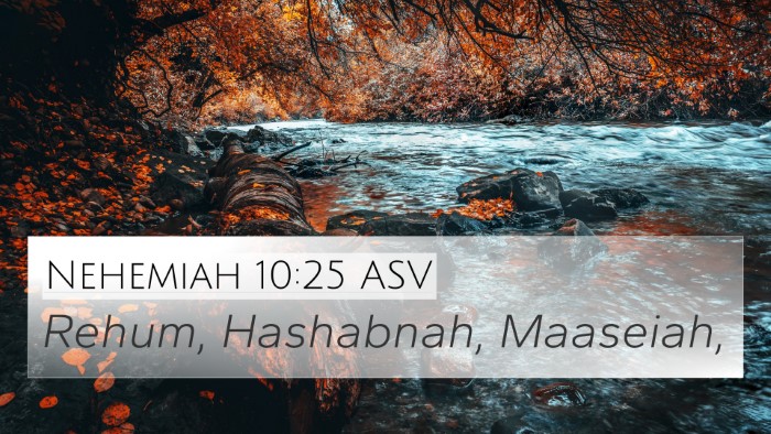 Nehemiah 10:25 ASV Bible Verse Image