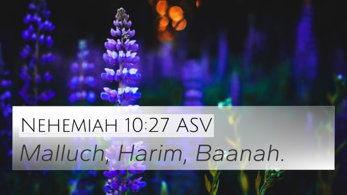 Nehemiah 10:27 ASV 4K Wallpaper - Malluch, Harim, - 4K Wallpaper Bible Verse