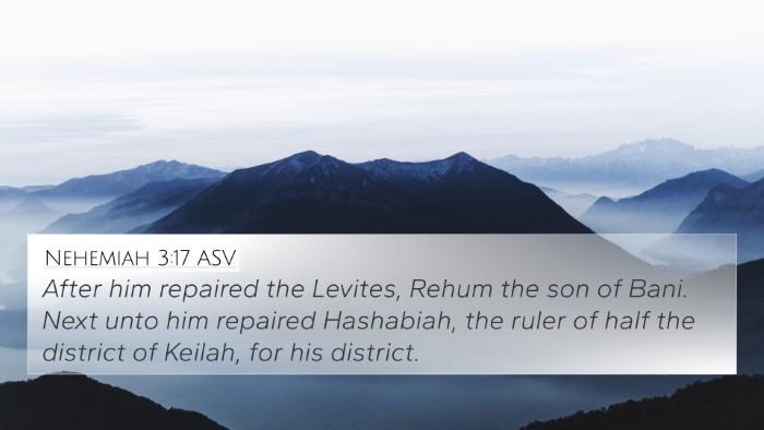 Nehemiah 3:17 ASV Bible Verse Image