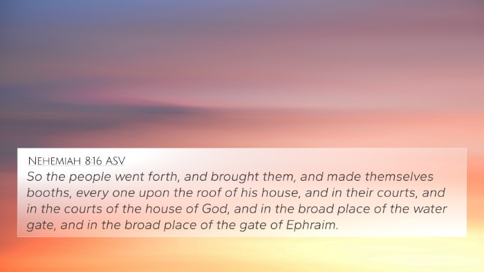 Nehemiah 8:16 ASV Bible Verse Image