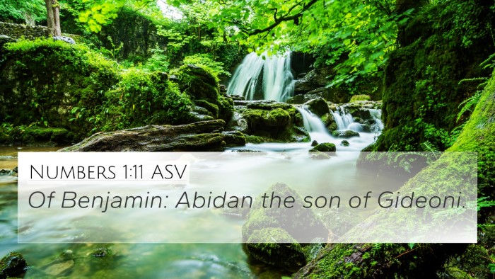 Numbers 1:11 ASV 4K Wallpaper - Of Benjamin: Abidan the son of - 4K Wallpaper Bible Verse