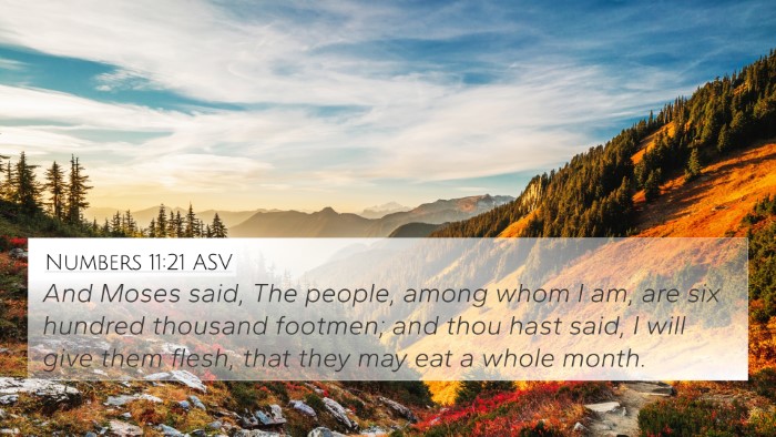 Numbers 11:21 ASV Bible Verse Image