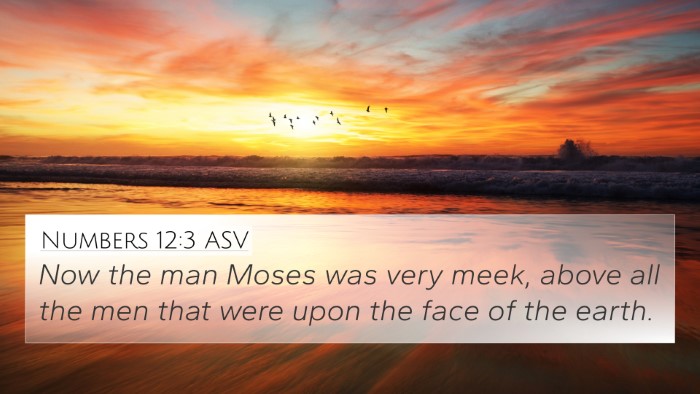 Numbers 12:3 ASV Bible Verse Image