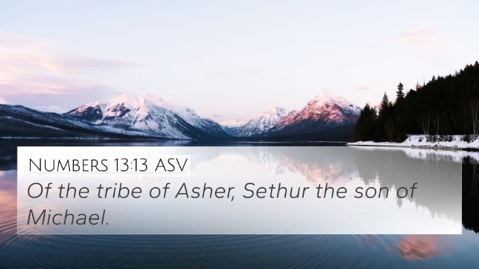 Numbers 13:13 ASV 4K Wallpaper - Of the tribe of Asher, Sethur the son of - 4K Wallpaper Bible Verse