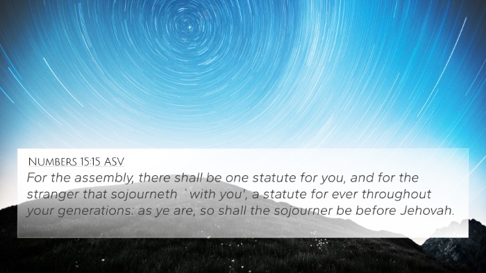 Numbers 15:15 ASV Bible Verse Image