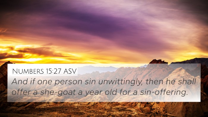 Numbers 15:27 ASV Bible Verse Image