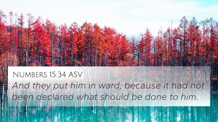 Numbers 15:34 ASV Bible Verse Image