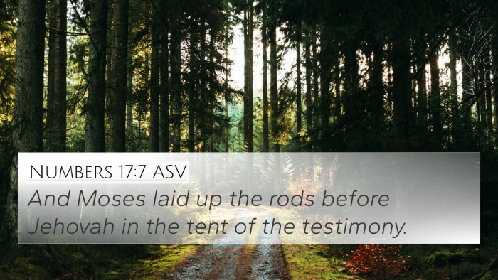 Numbers 17:7 ASV Bible Verse Image