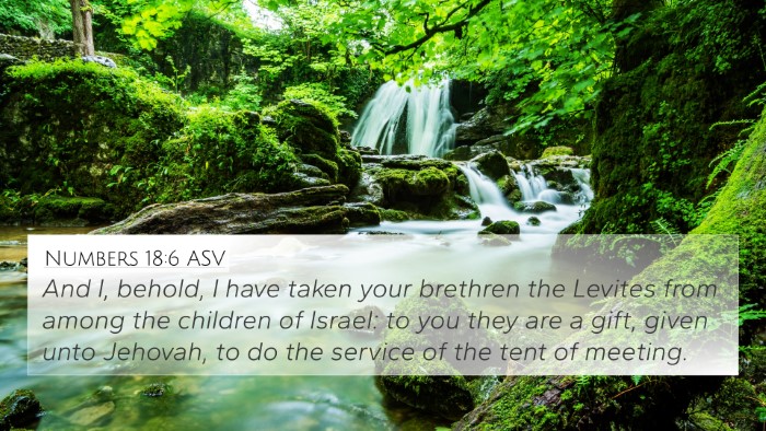 Numbers 18:6 ASV Bible Verse Image